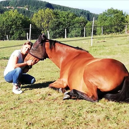 Chambre D'Hote Equestre Au Petit Bonheur Chateldon ภายนอก รูปภาพ
