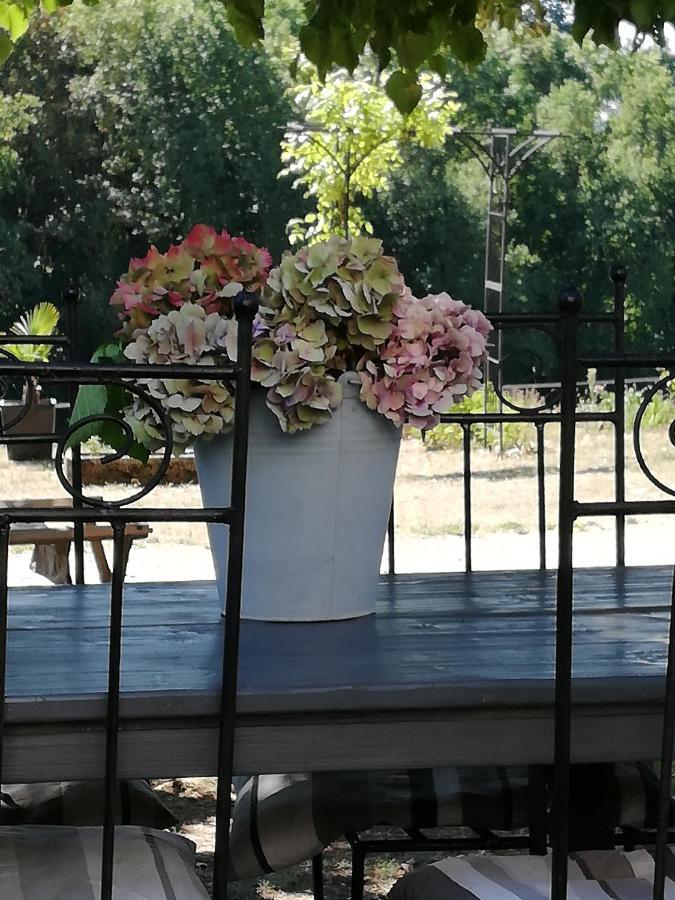 Chambre D'Hote Equestre Au Petit Bonheur Chateldon ภายนอก รูปภาพ