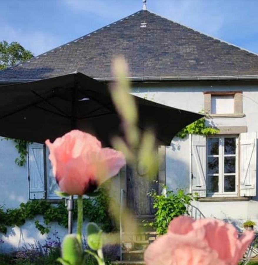 Chambre D'Hote Equestre Au Petit Bonheur Chateldon ภายนอก รูปภาพ